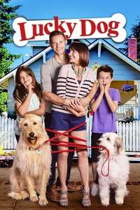 Lucky Dog - Posters