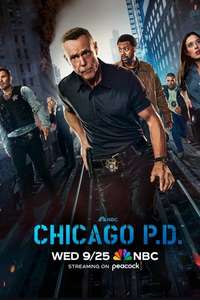 Chicago P.D. - Posters