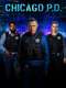 Chicago P.D. : Season 11