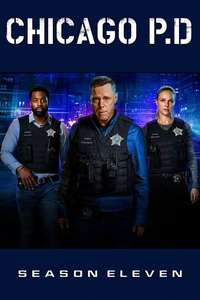 Chicago P.D. - Posters