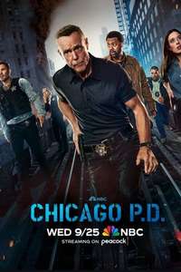 Chicago P.D. - Posters