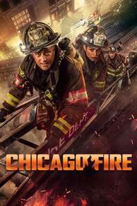 Season 13 - Posters