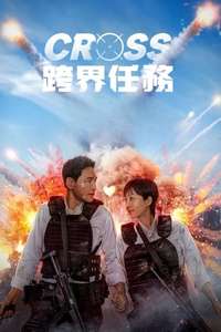 Mission Cross - Posters