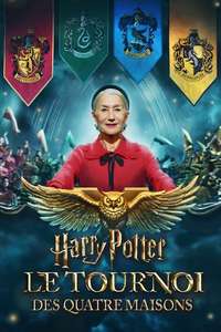 Harry Potter: Hogwarts Tournament of Houses - Posters