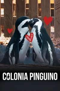 Penguin Town - Posters