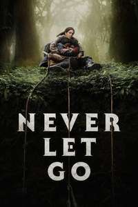 Never Let Go - Posters