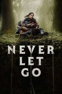 Never Let Go - Posters