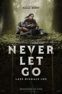 Never Let Go - Posters