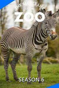 The Secret Life of the Zoo - Posters