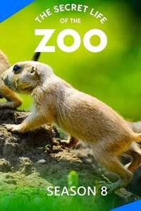 The Secret Life of the Zoo - Posters