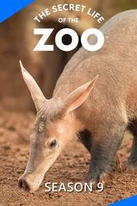 The Secret Life of the Zoo - Posters