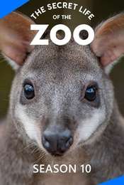 The Secret Life of the Zoo