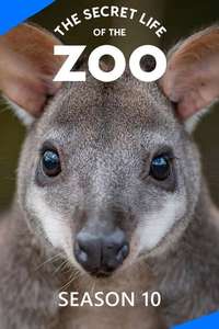 The Secret Life of the Zoo - Posters
