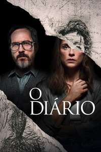 The Diary - Posters