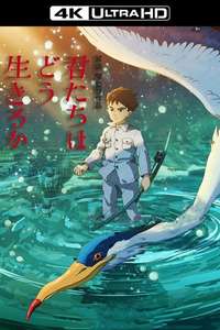 The Boy and the Heron - Posters