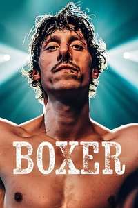 Boxer - Posters