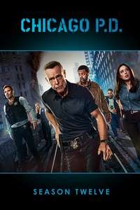 Chicago P.D. - Posters