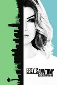 Season 21 - Posters
