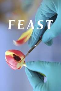 Feast - Posters