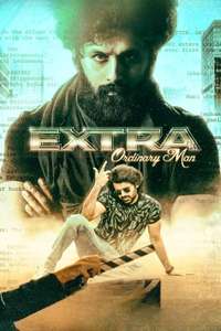 Extra Ordinary Man - Posters