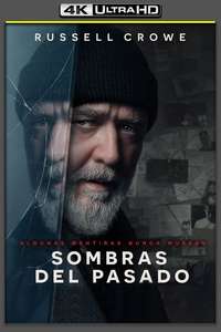 Sleeping Dogs - Posters