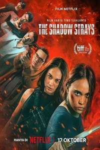 The Shadow Strays - Posters