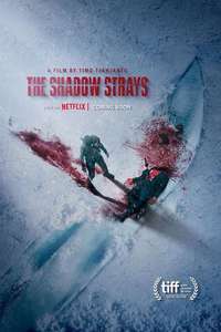 The Shadow Strays - Posters