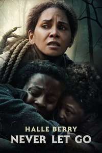 Never Let Go - Posters