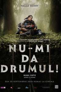 Never Let Go - Posters