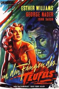 The Unguarded Moment - Posters