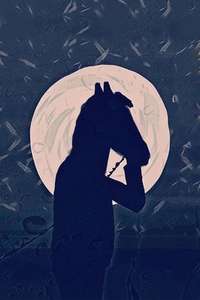 BoJack Horseman - Posters