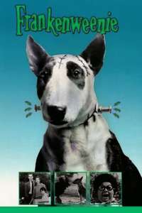 Frankenweenie - Posters