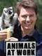 Animals at Work