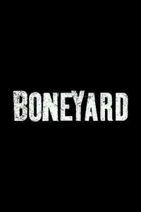 Boneyard - Posters