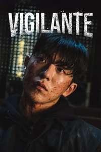 Vigilante - Posters