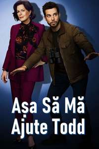 So Help Me Todd - Posters