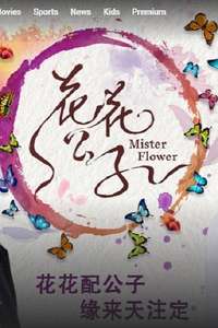 Mister Flower - Posters