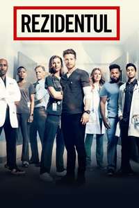The Resident - Posters
