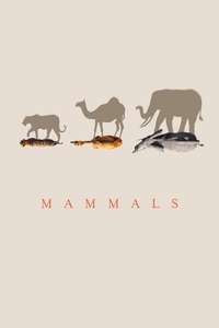 Mammals - Posters