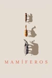 Mammals - Posters