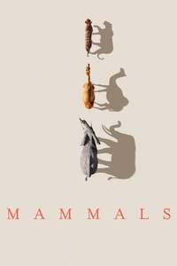 Mammals - Posters