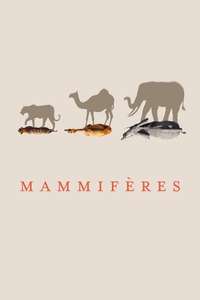 Mammals - Posters