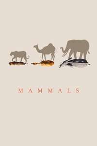 Mammals - Posters