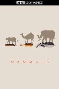 Mammals - Posters
