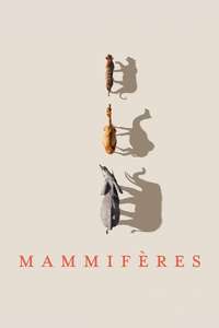 Mammals - Posters