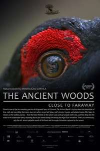 The Ancient Woods - Posters
