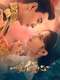 Fall In Love : Season 1