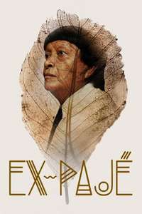 Ex-Shaman - Posters