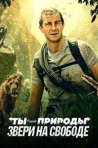 Animals on the Loose: A You vs. Wild Interactive Movie - Posters
