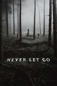 Never Let Go - Posters